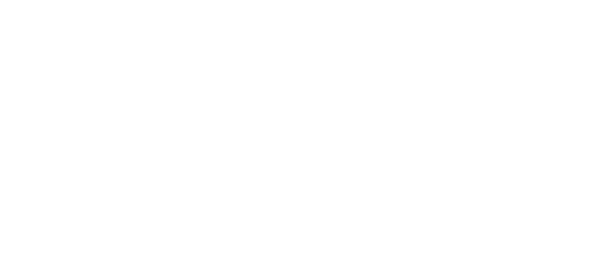 ПАС КОМЕРС 88